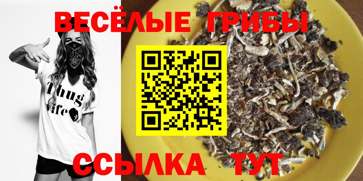Кокаин  Вход с VPN  Бошки Шишки  НБОМе  Гашиш  Партизанск  Мефедрон кристаллы 