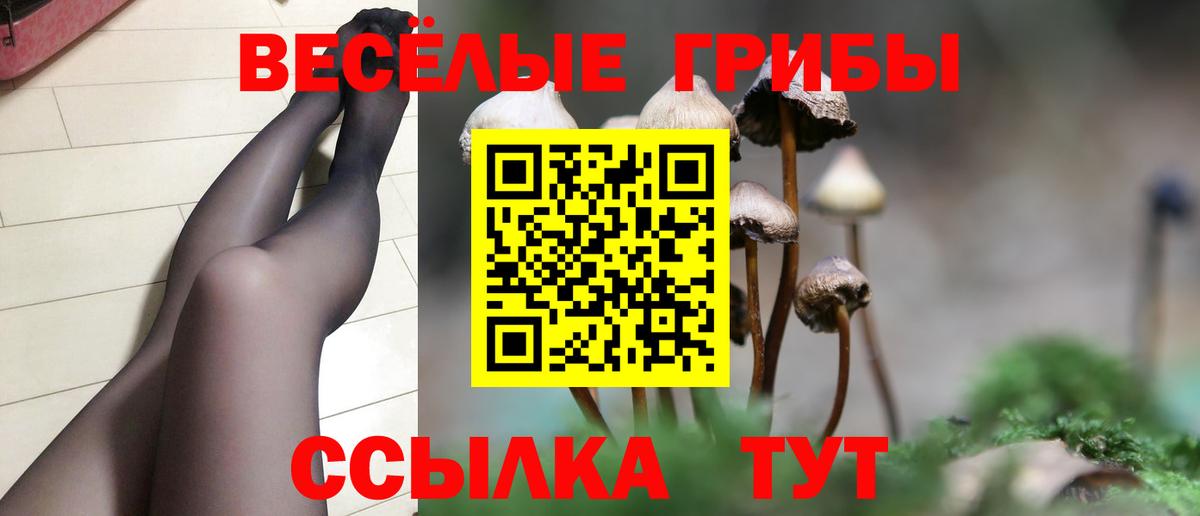 Псилоцибиновые грибы мухоморы  Вход с VPN  Партизанск 